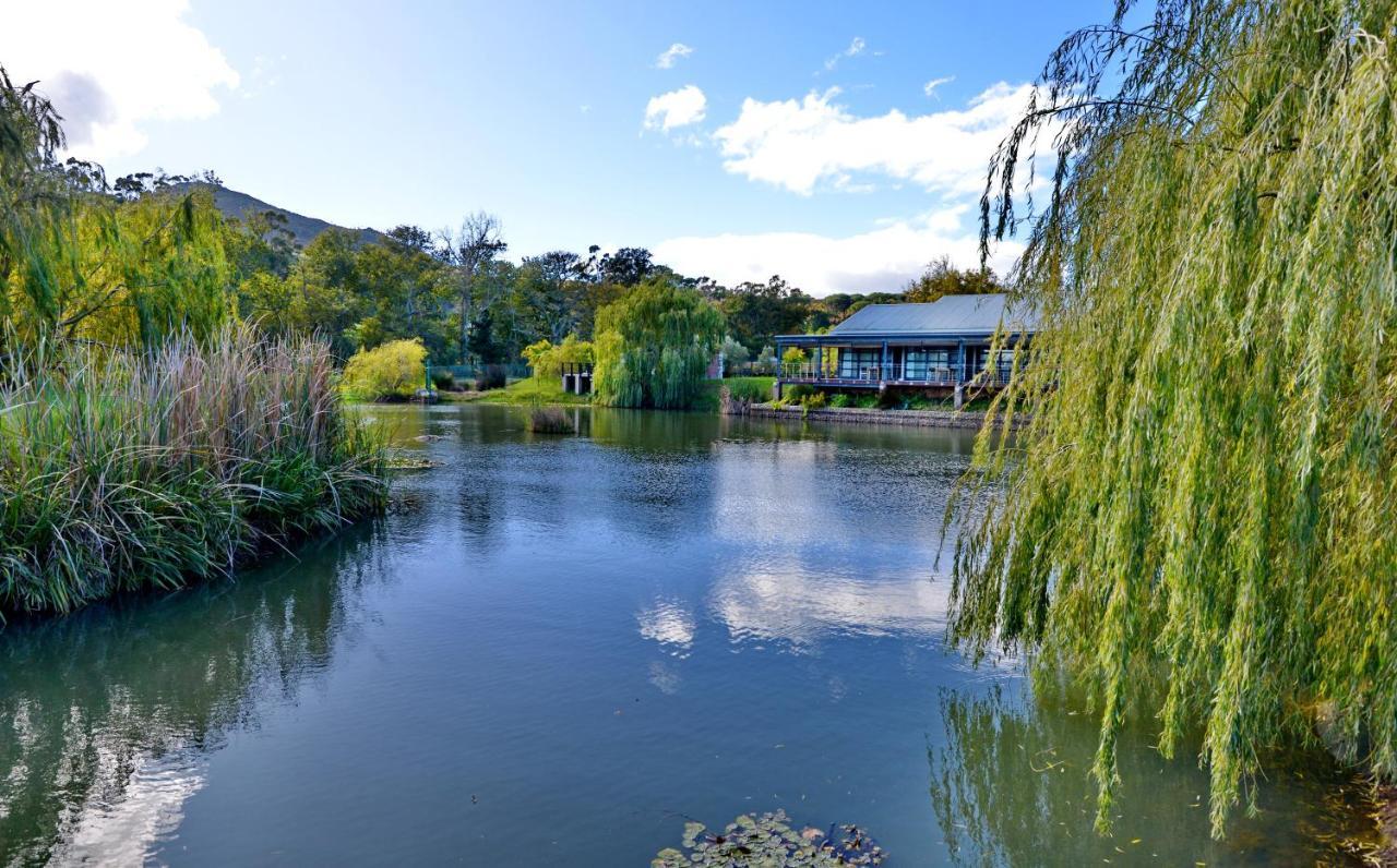Ladybird Lodge Stellenbosch Buitenkant foto