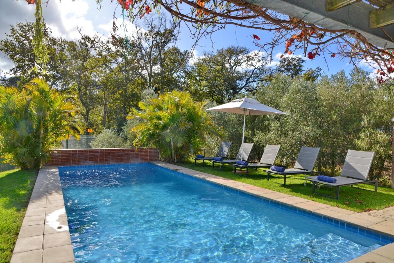 Ladybird Lodge Stellenbosch Buitenkant foto